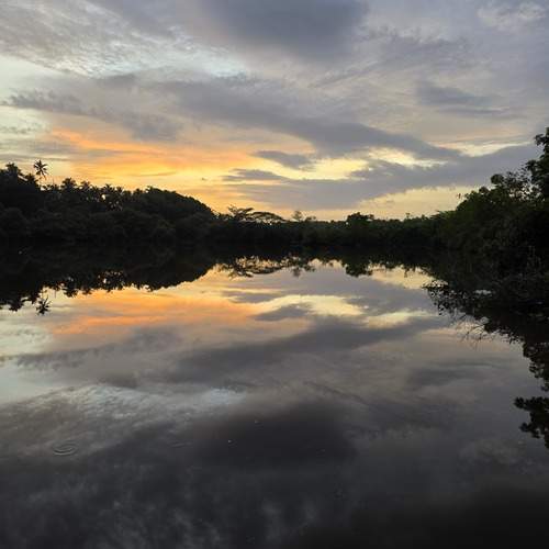Mirror of Horizon