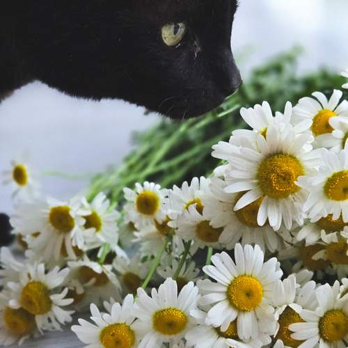 Photo #12489674