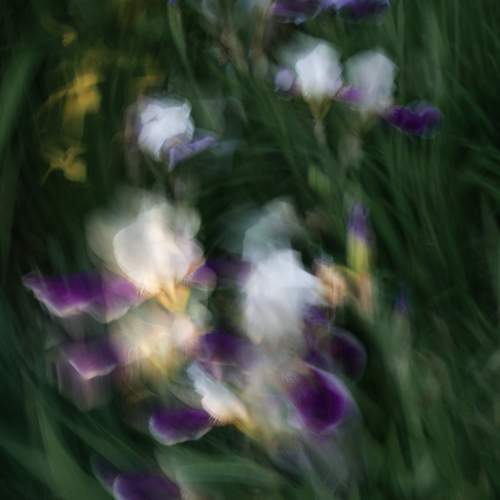Photo #12489736