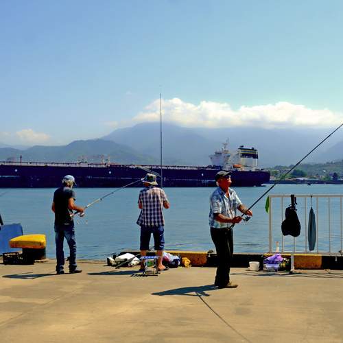 Photo #12489758