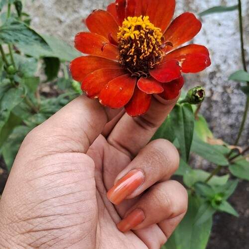Gentle touch of nature