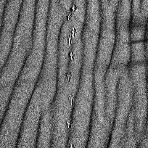 Photo #12490002
