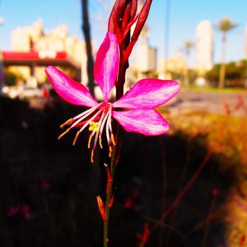 Photo #12490026