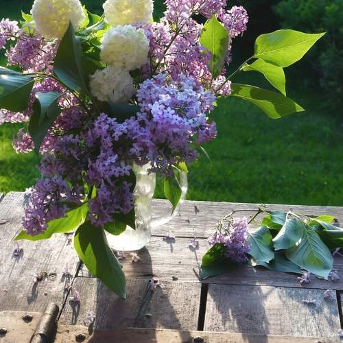 Photo #12490211