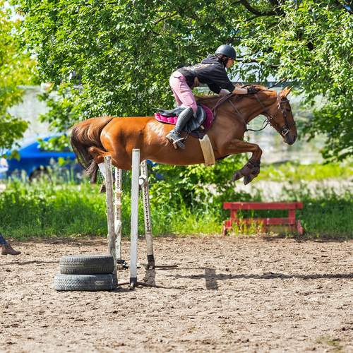 Photo #12490251