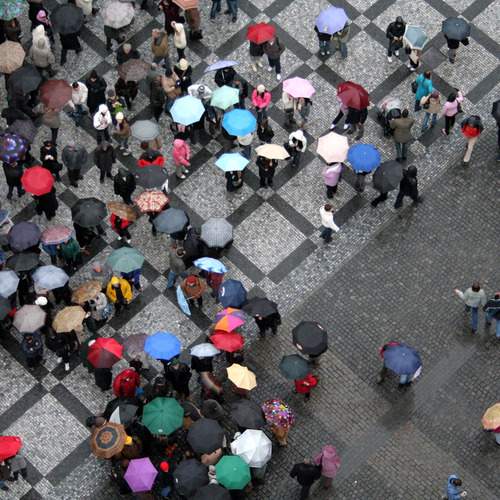 Photo #12490317