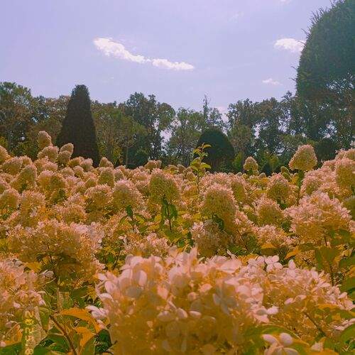 Photo #12490328