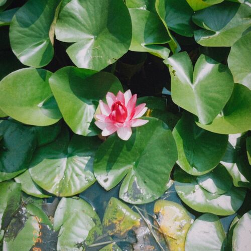 Photo #12490334