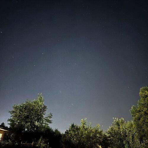 Photo #12490413