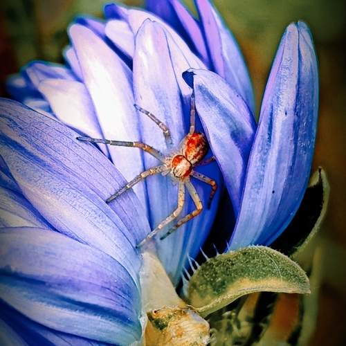 Photo #12490475