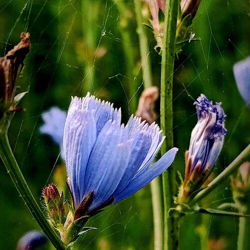 Photo #12490486