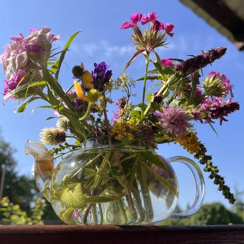 Photo #12490526