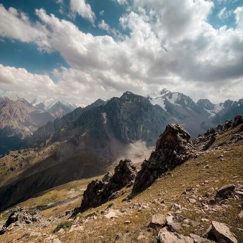 Photo #12490683