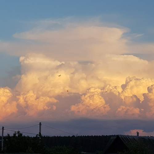 Photo #12490729