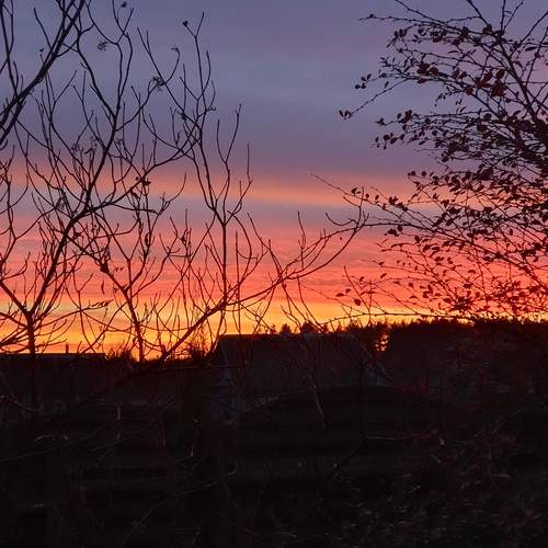 Photo #12490759