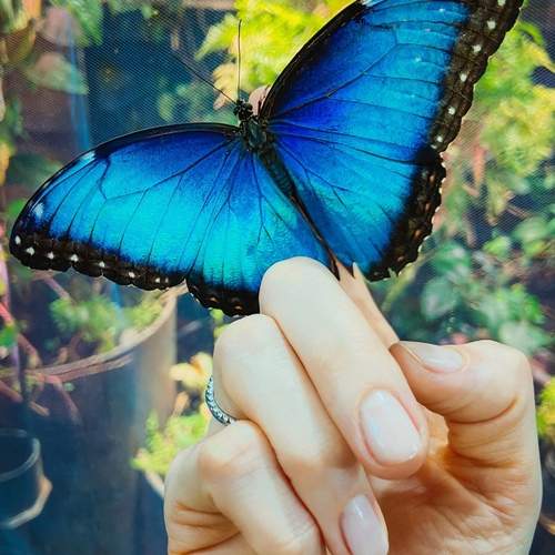Photo #12490805