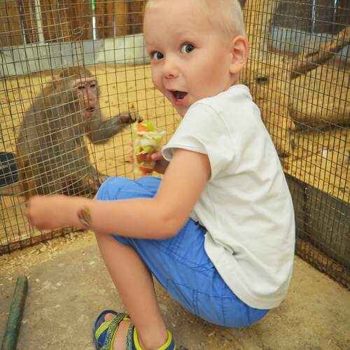 Photo #12490865