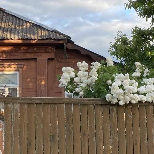 Photo #12490887