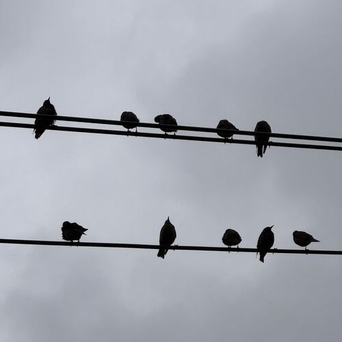 Photo #12490904
