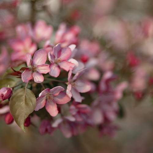 Photo #12490905