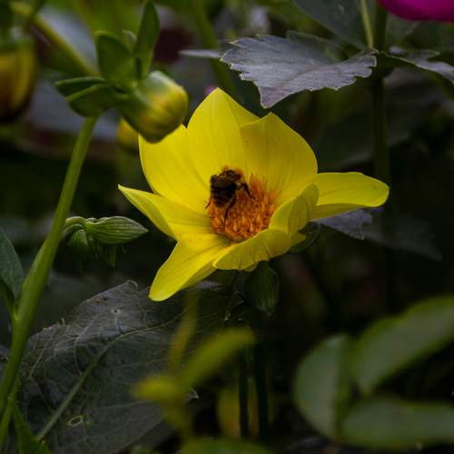 Photo #12490917