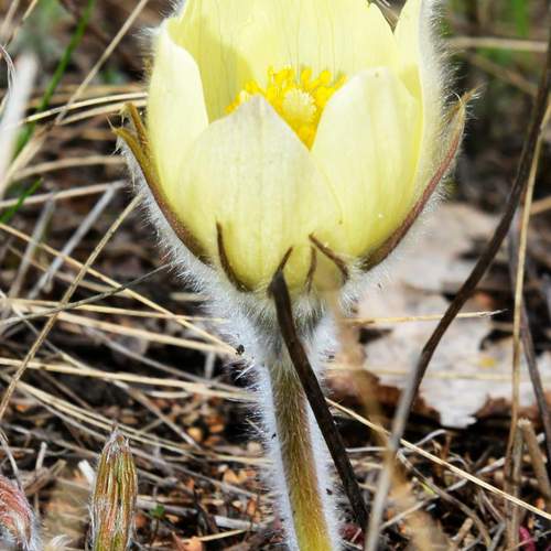 Photo #12491031