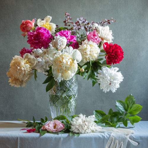 Photo #12491064
