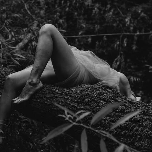 Photo #12491088
