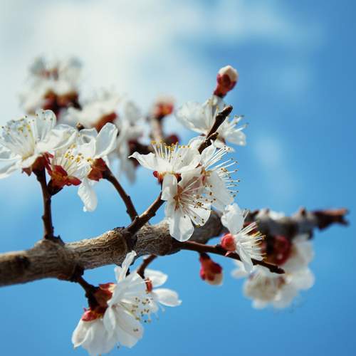 Photo #12491204
