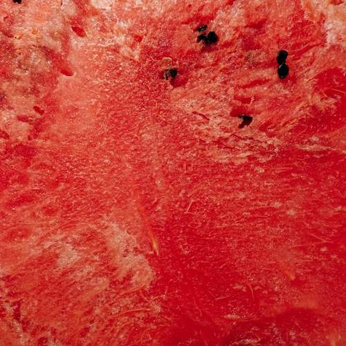 Photo #12491391