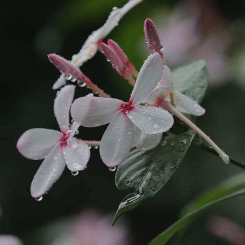 Photo #12491467