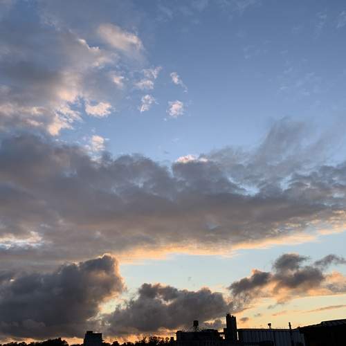 Photo #12491478