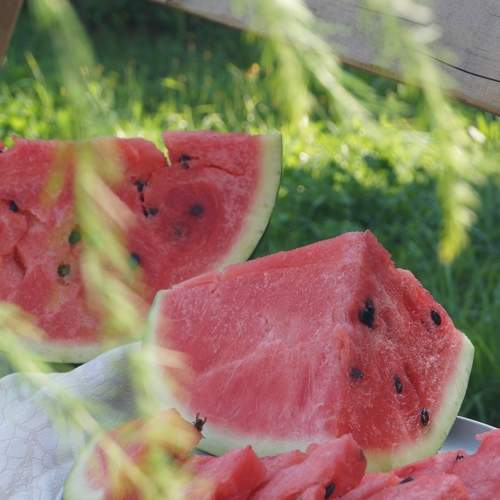 Photo #12491683