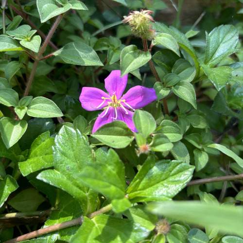Photo #12491836