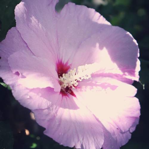 Photo #12492008