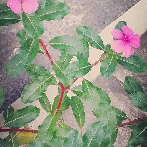 Photo #12492045