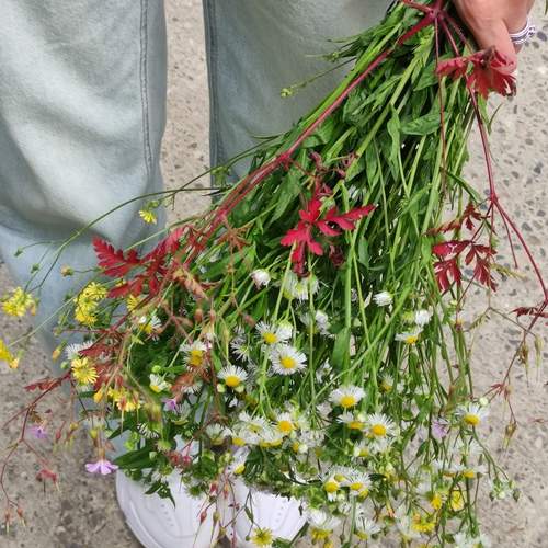 Photo #12492277