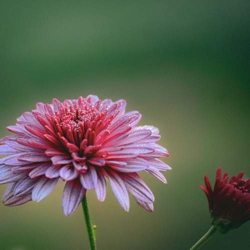 Photo #12492352