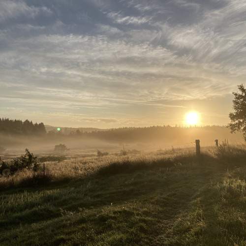 Photo #12492404