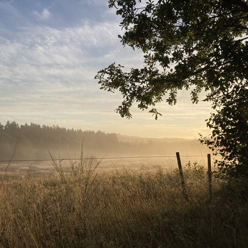 Photo #12492405