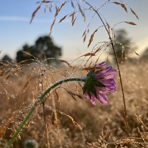 Photo #12492428