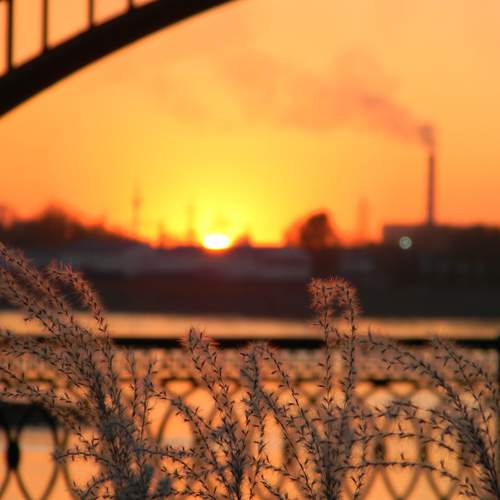 Photo #12492479