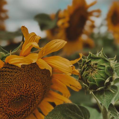 Photo #12492494