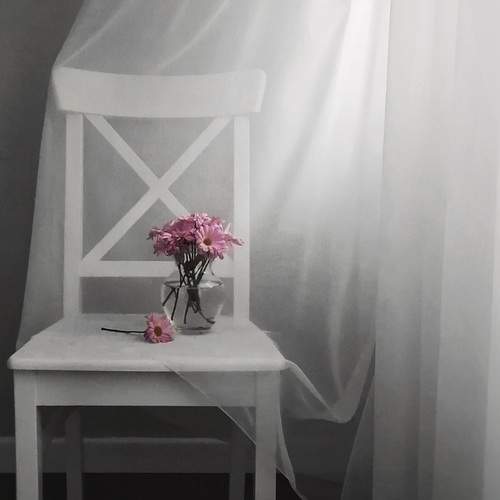 Photo #12492517
