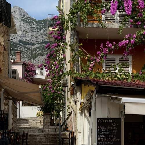 Photo #12492543