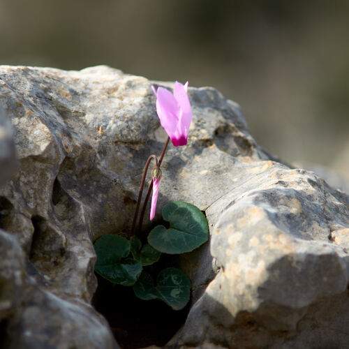 Photo #12492628
