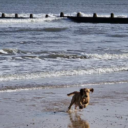 Photo #12492658