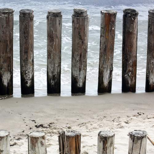 Photo #12492740