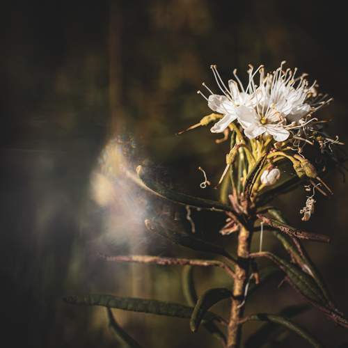 Photo #12492870