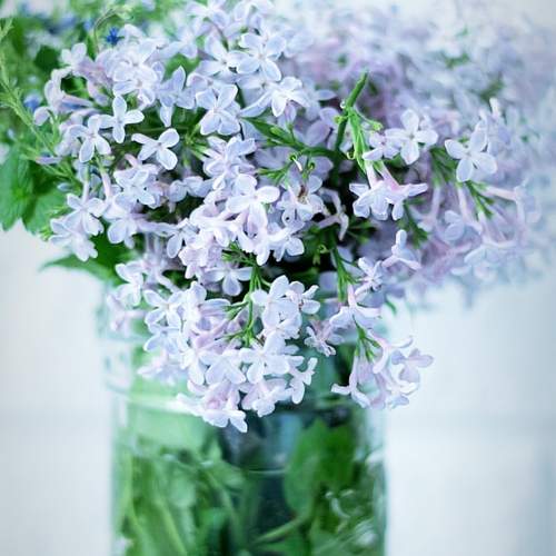 Photo #12492891